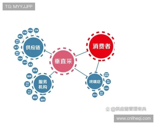 数据分析：深入探讨JDG战队的团队配合与表现优势