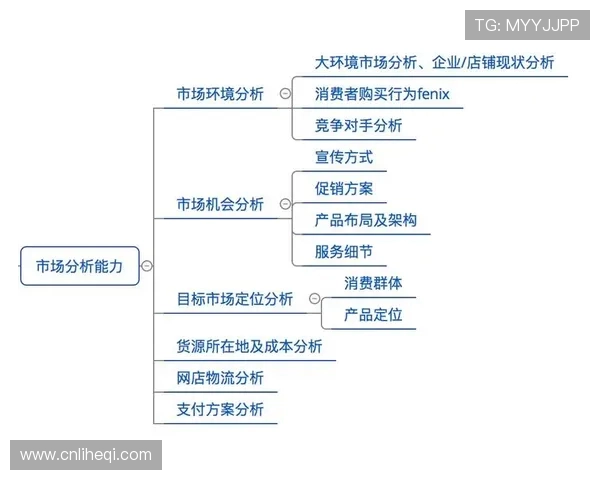 杭州排球队的战术创新与运营体系探讨分析 杭州排球队的战术创新与运营体系探讨分析