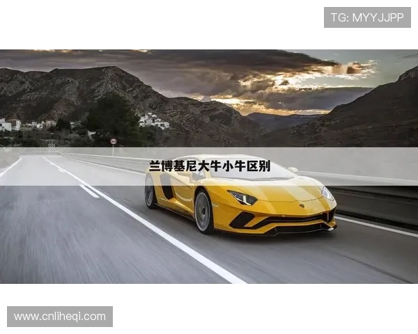 公牛与小牛的激烈对决1月16日篮球赛精彩回顾与分析