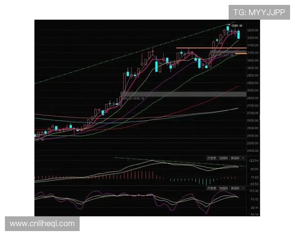 杭州篮球队与成都篮球队赛后复盘分析个人能力的对比与启示